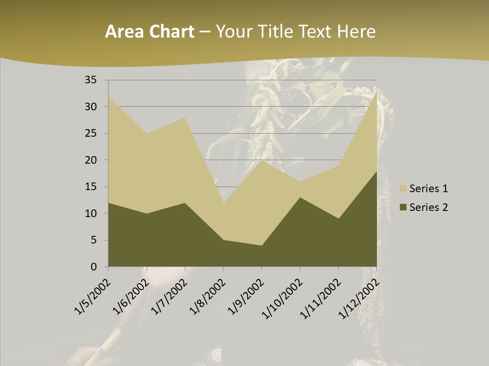 Girl Femininity Indonesian PowerPoint Template