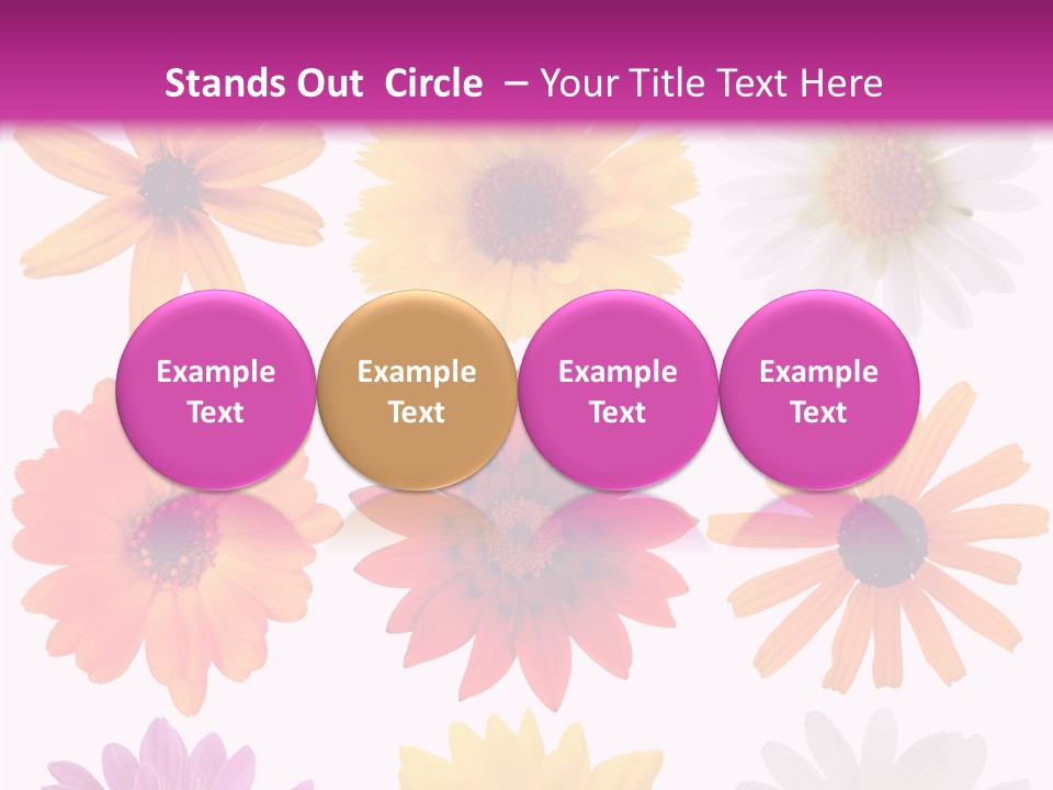 Flower Vivid Pink PowerPoint Template
