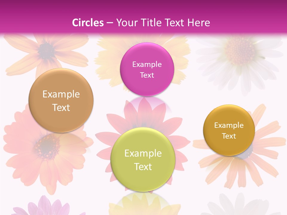 Flower Vivid Pink PowerPoint Template