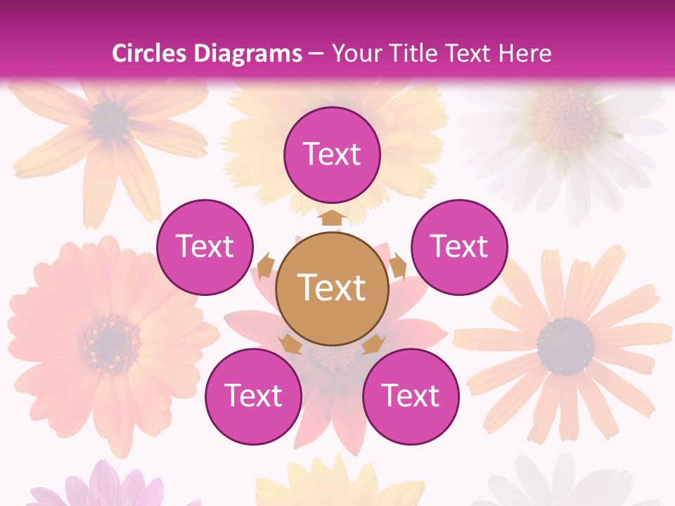 Flower Vivid Pink PowerPoint Template