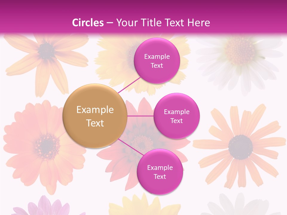 Flower Vivid Pink PowerPoint Template