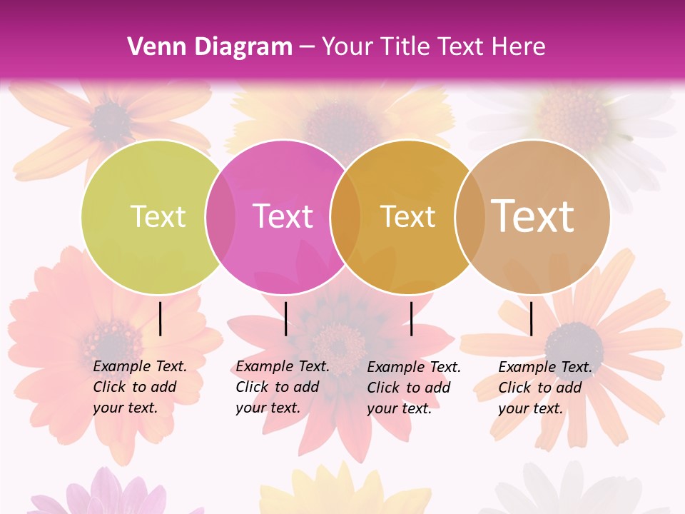 Flower Vivid Pink PowerPoint Template