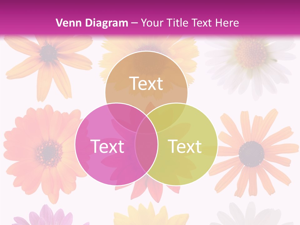 Flower Vivid Pink PowerPoint Template