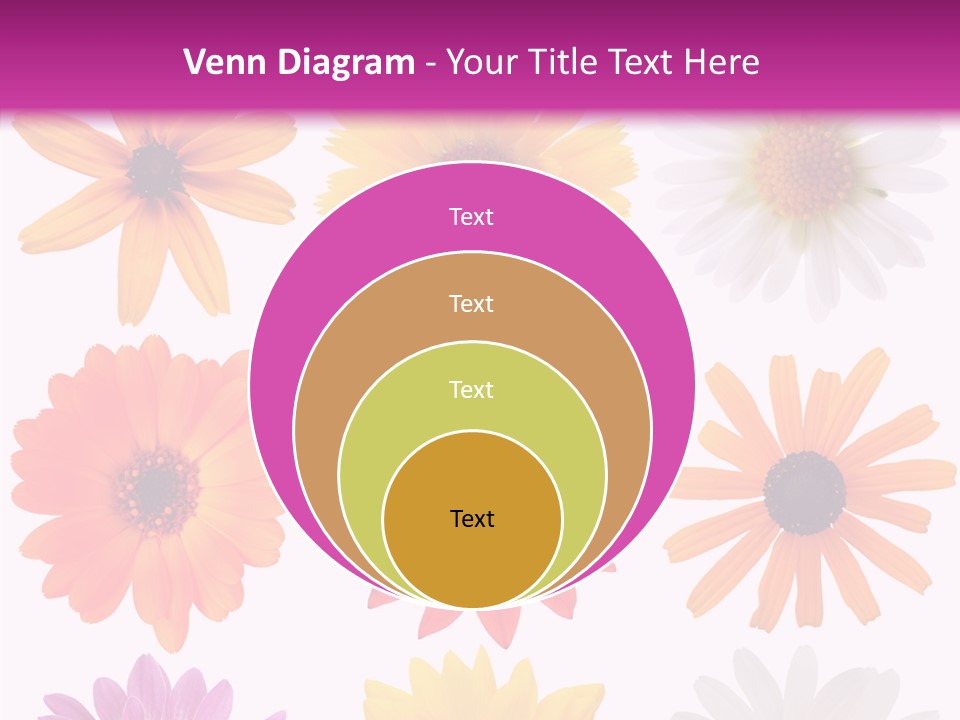 Flower Vivid Pink PowerPoint Template