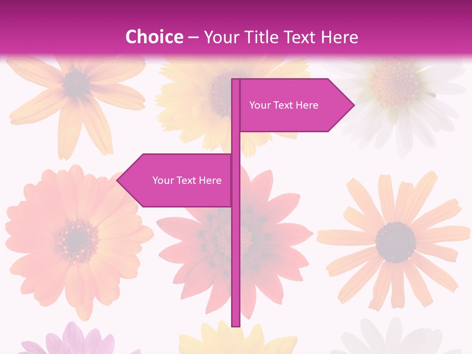 Flower Vivid Pink PowerPoint Template