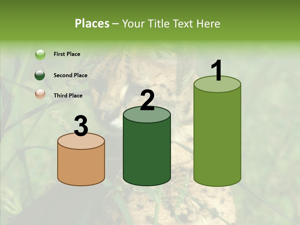 Felidae Green Leptailurus Serval PowerPoint Template