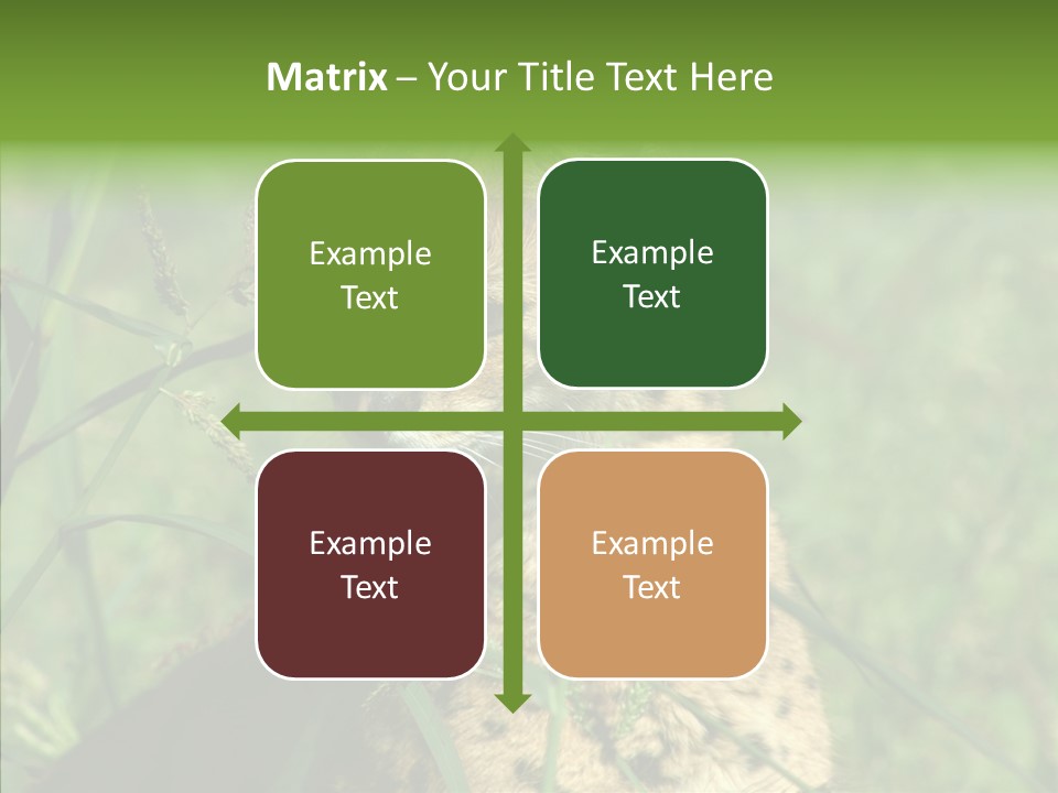 Felidae Green Leptailurus Serval PowerPoint Template