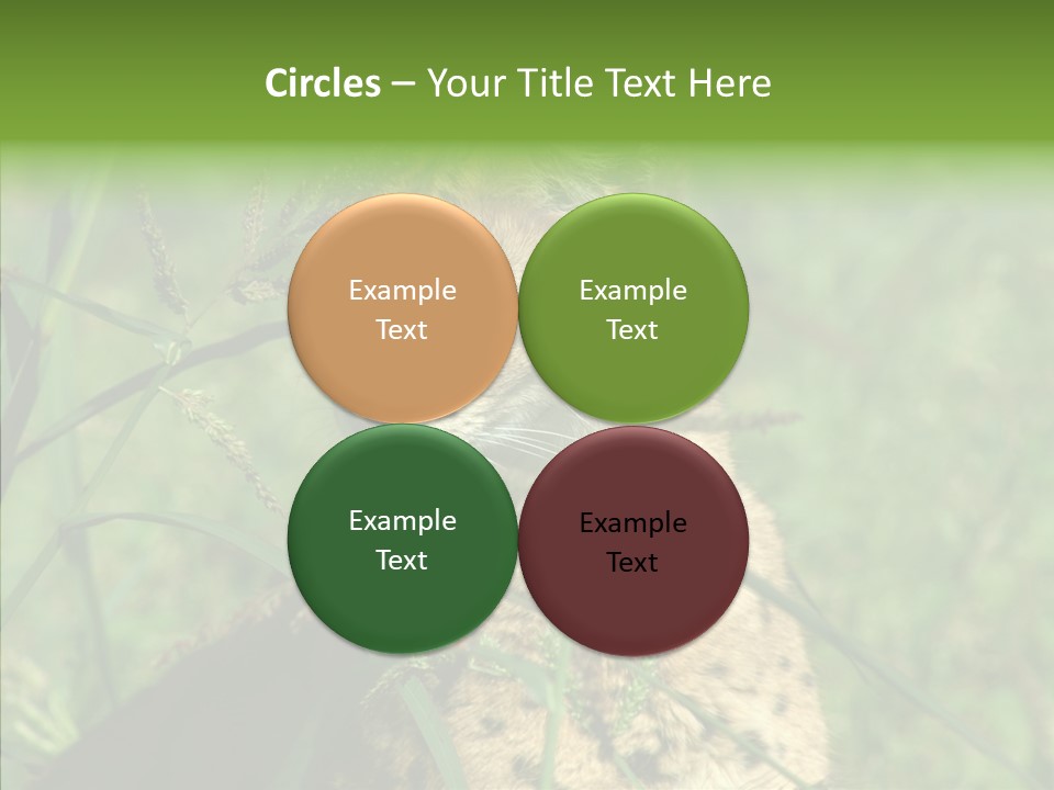 Felidae Green Leptailurus Serval PowerPoint Template