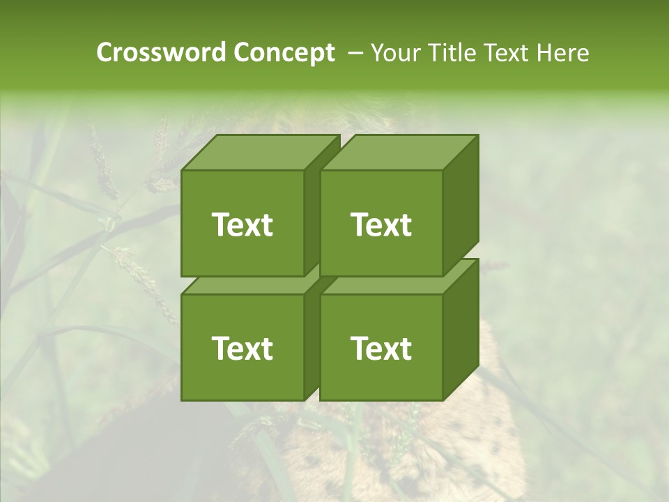 Felidae Green Leptailurus Serval PowerPoint Template