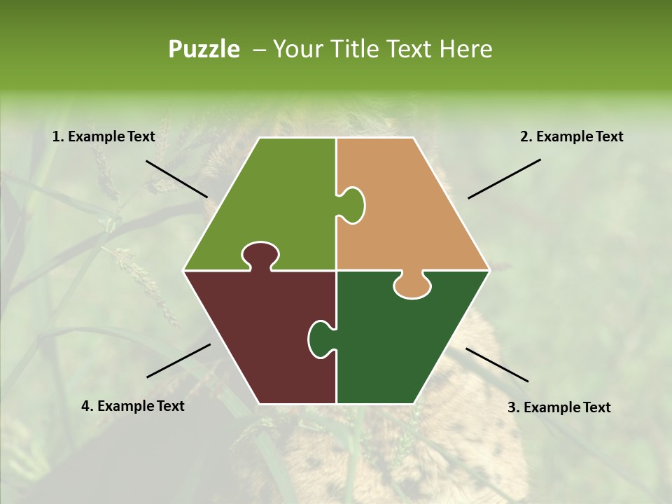 Felidae Green Leptailurus Serval PowerPoint Template