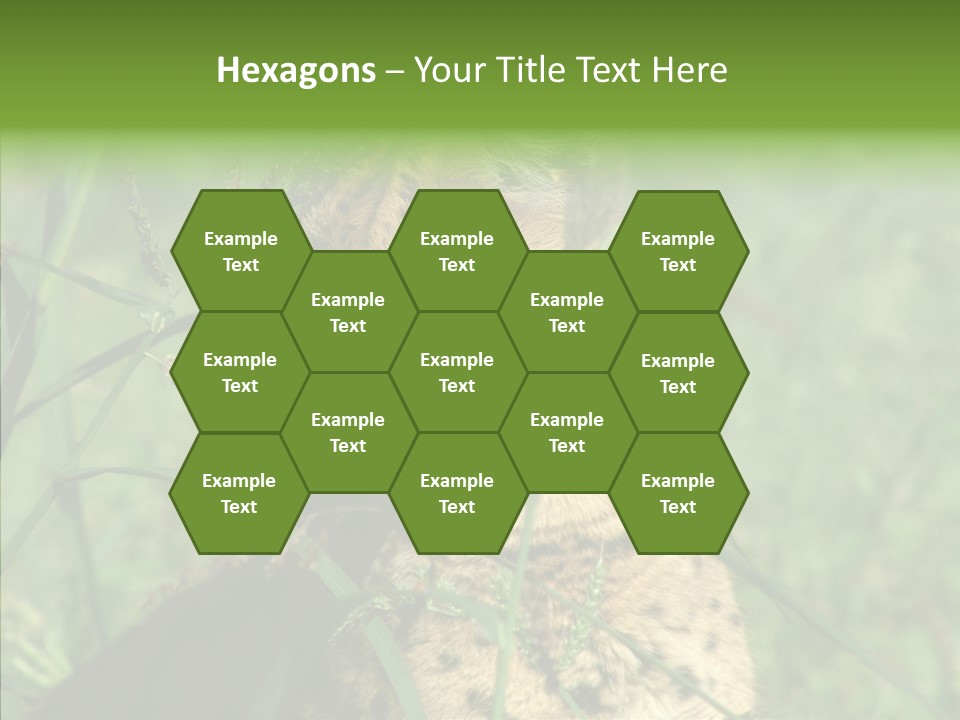 Felidae Green Leptailurus Serval PowerPoint Template