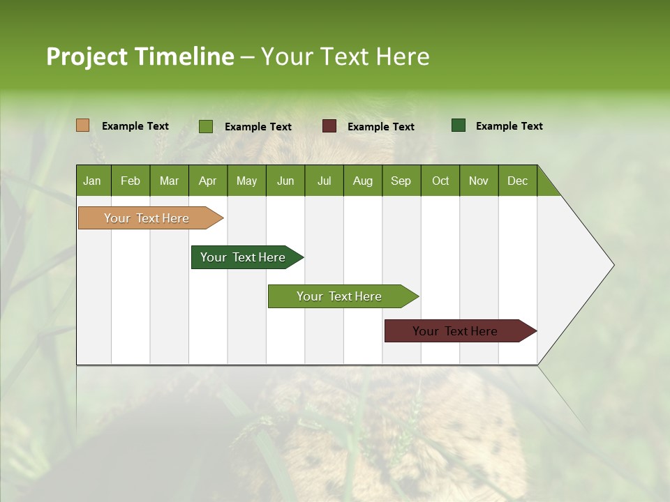 Felidae Green Leptailurus Serval PowerPoint Template