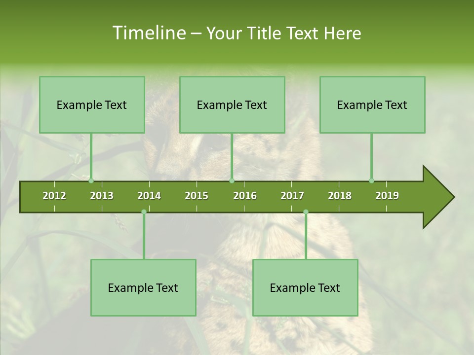 Felidae Green Leptailurus Serval PowerPoint Template