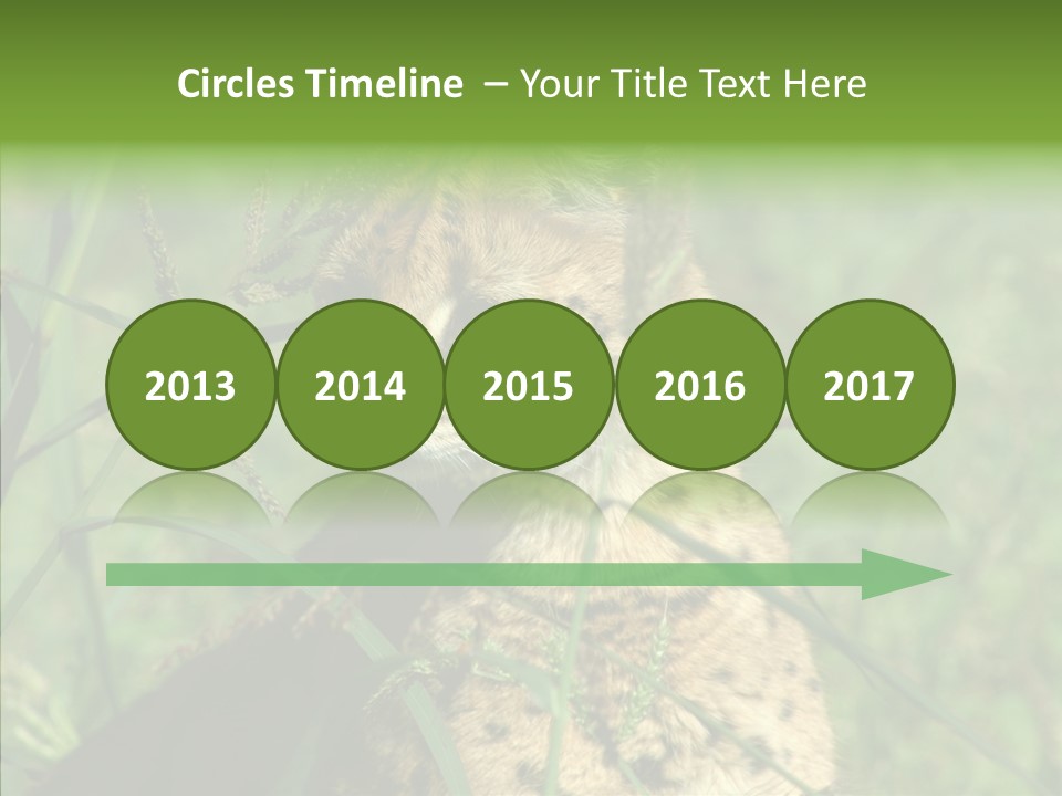 Felidae Green Leptailurus Serval PowerPoint Template