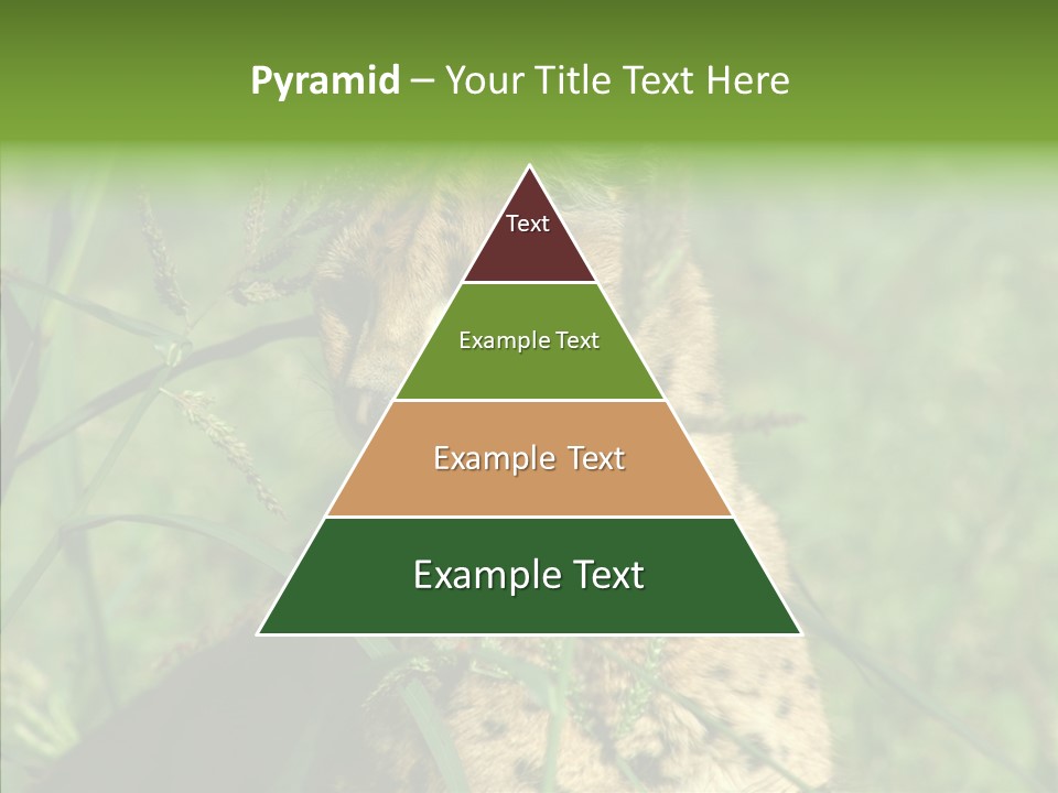 Felidae Green Leptailurus Serval PowerPoint Template