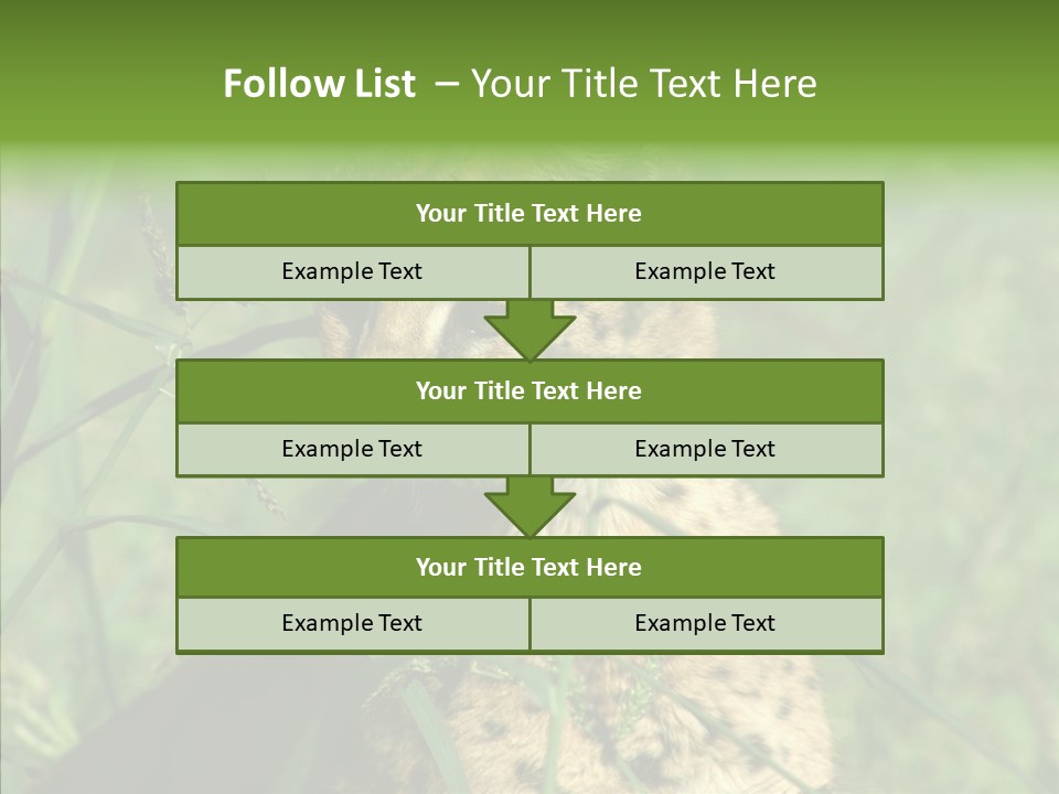 Felidae Green Leptailurus Serval PowerPoint Template