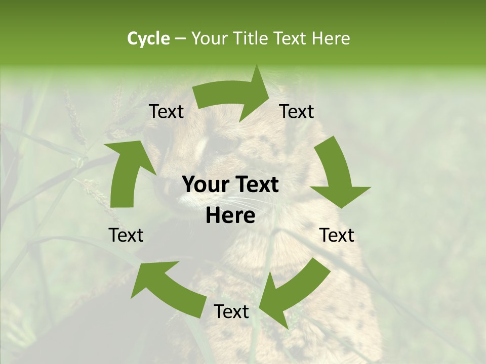 Felidae Green Leptailurus Serval PowerPoint Template