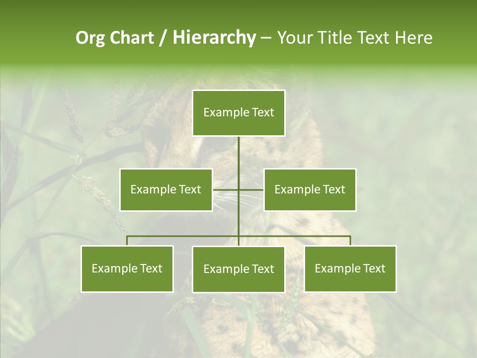 Felidae Green Leptailurus Serval PowerPoint Template