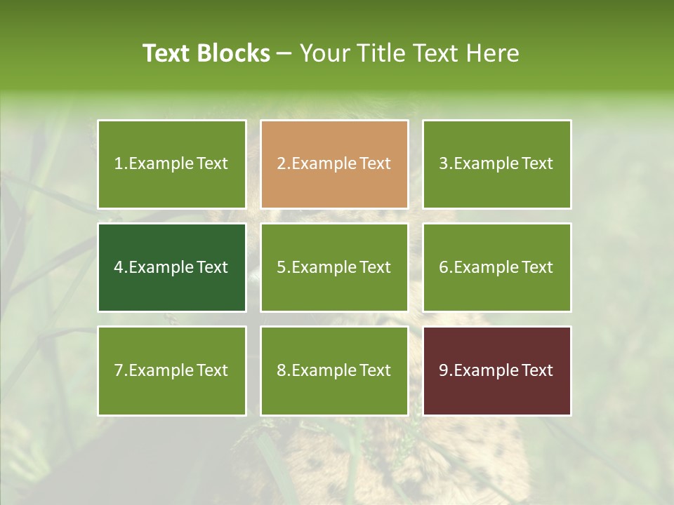 Felidae Green Leptailurus Serval PowerPoint Template