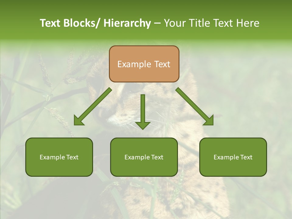 Felidae Green Leptailurus Serval PowerPoint Template