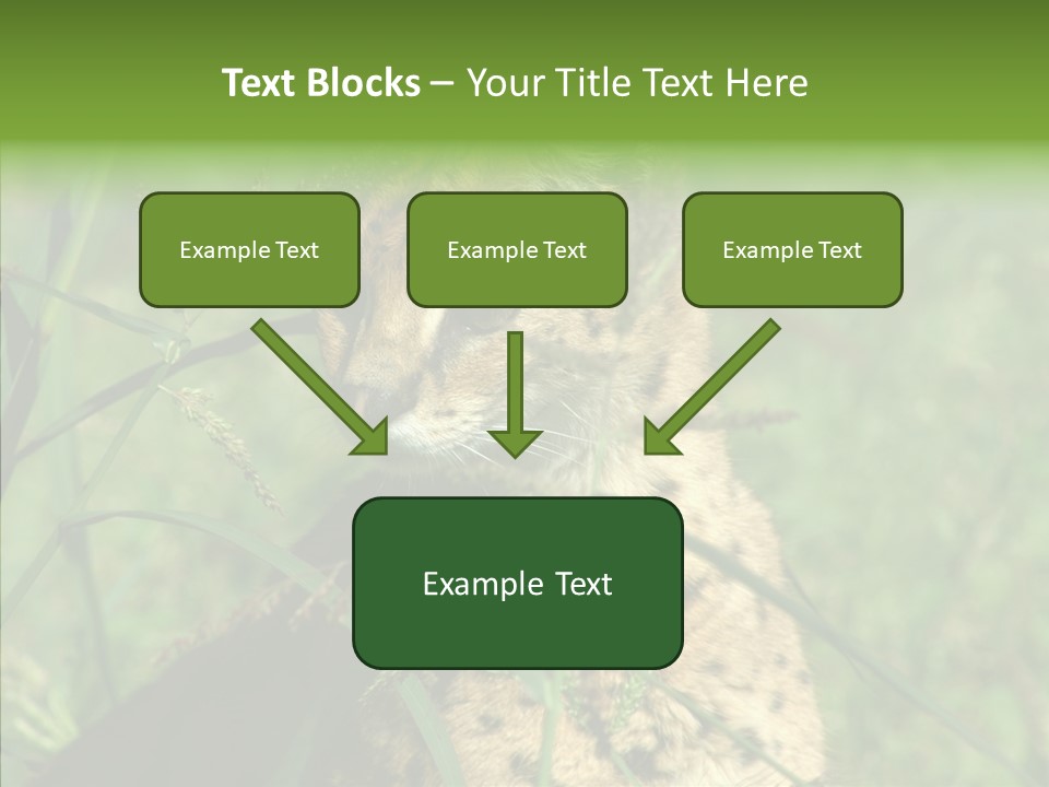 Felidae Green Leptailurus Serval PowerPoint Template
