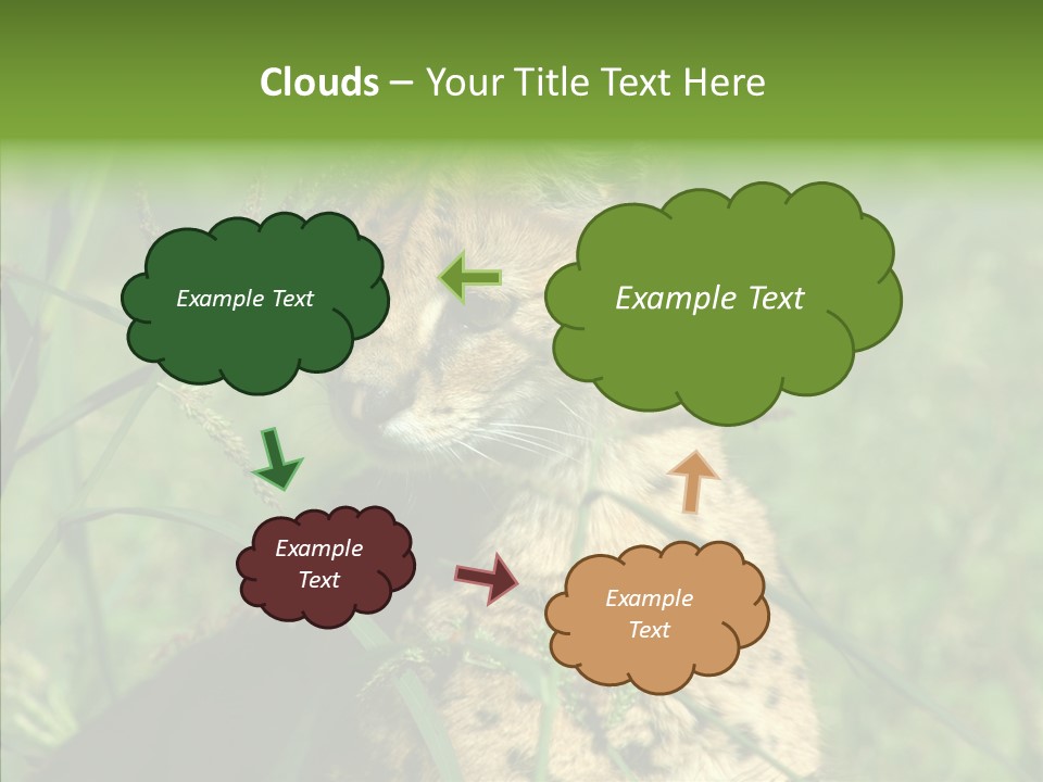 Felidae Green Leptailurus Serval PowerPoint Template