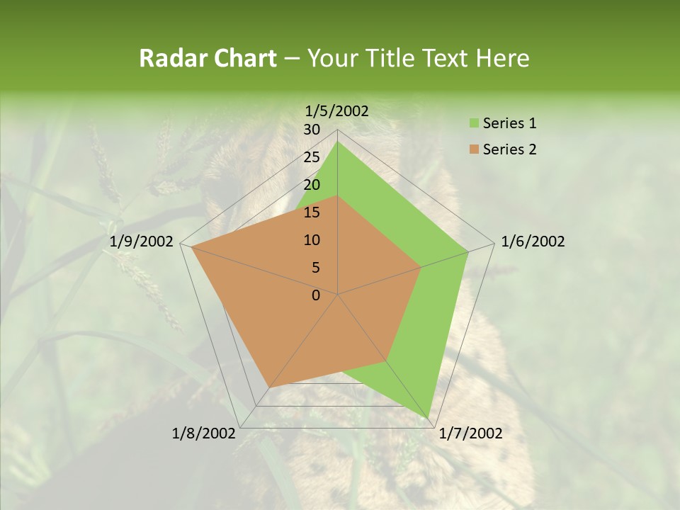 Felidae Green Leptailurus Serval PowerPoint Template
