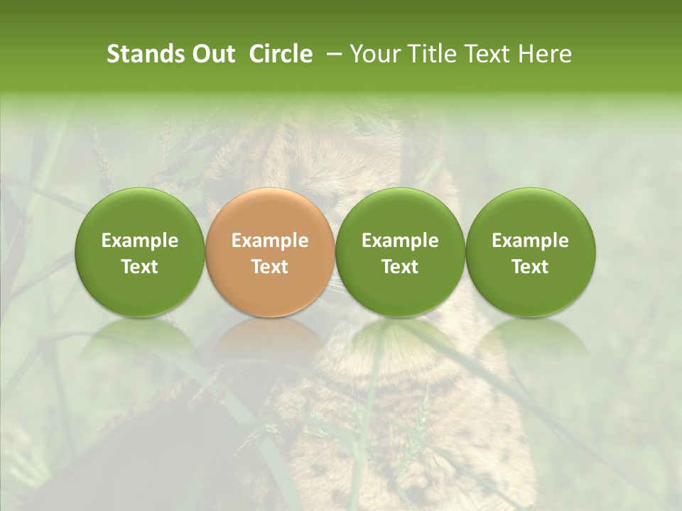 Felidae Green Leptailurus Serval PowerPoint Template