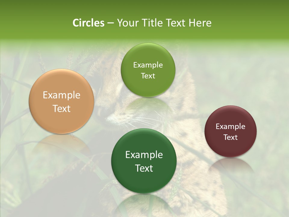 Felidae Green Leptailurus Serval PowerPoint Template