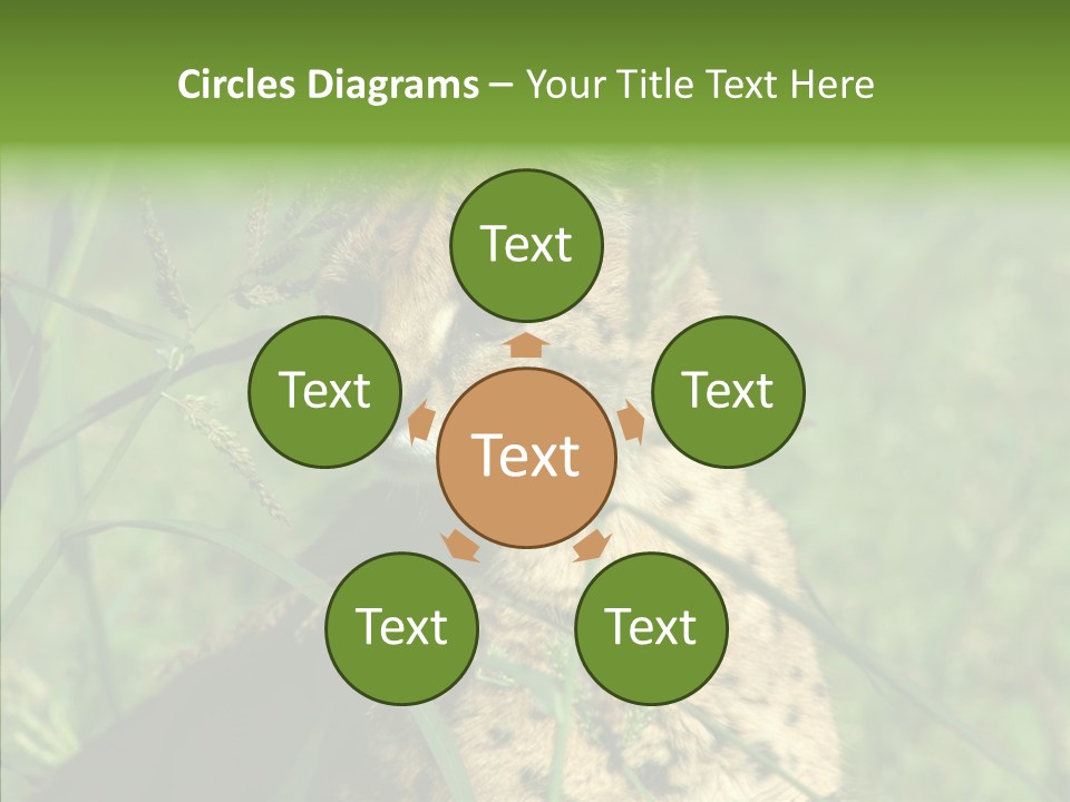 Felidae Green Leptailurus Serval PowerPoint Template