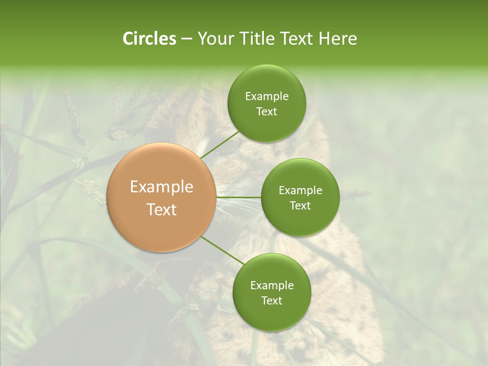 Felidae Green Leptailurus Serval PowerPoint Template