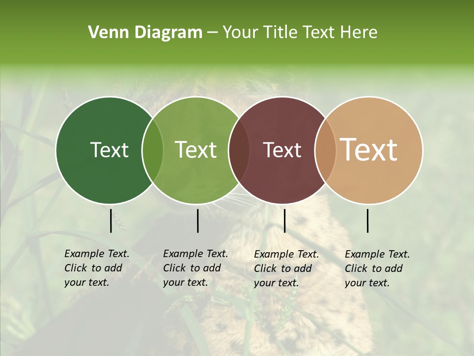 Felidae Green Leptailurus Serval PowerPoint Template