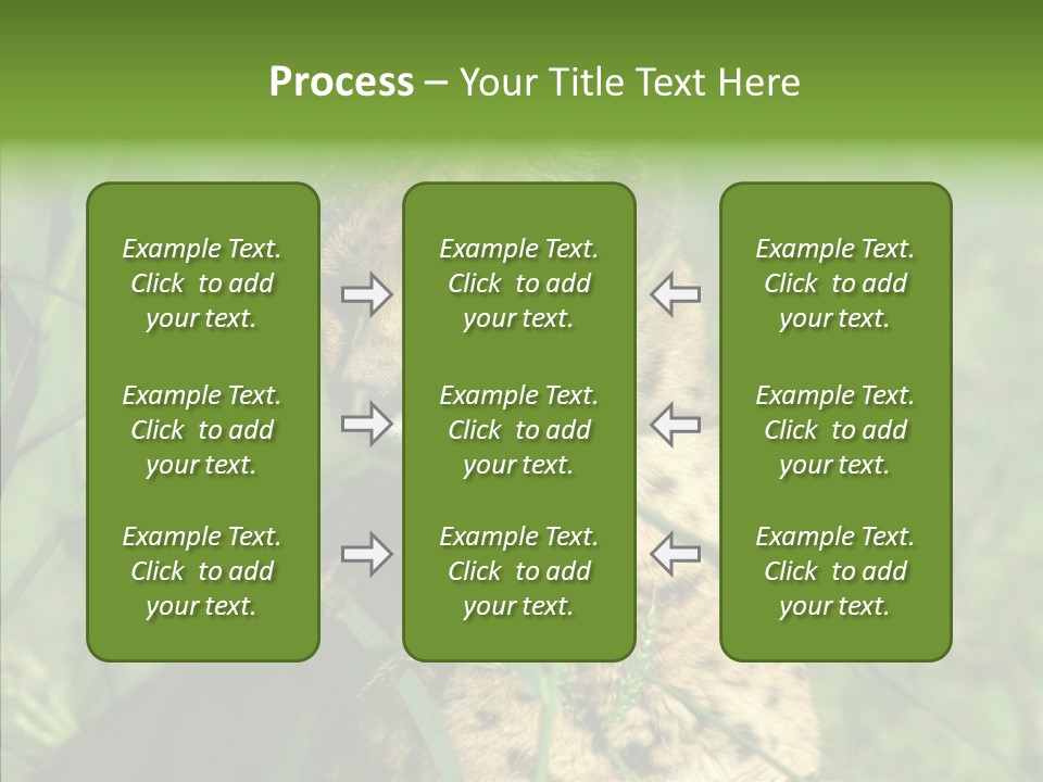 Felidae Green Leptailurus Serval PowerPoint Template