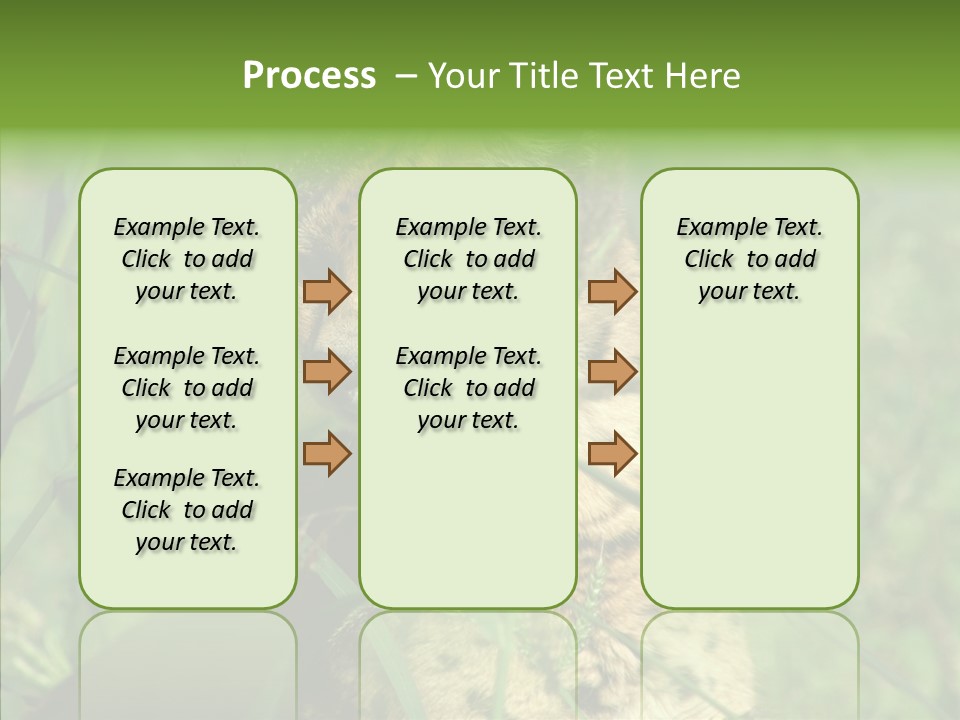 Felidae Green Leptailurus Serval PowerPoint Template