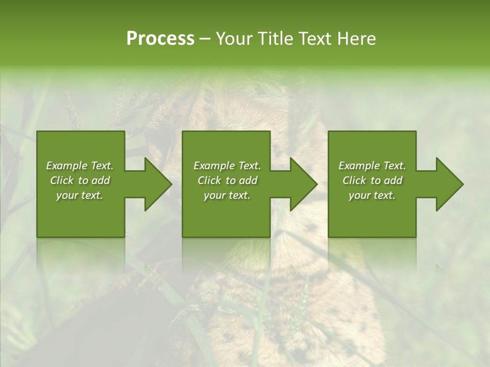 Felidae Green Leptailurus Serval PowerPoint Template