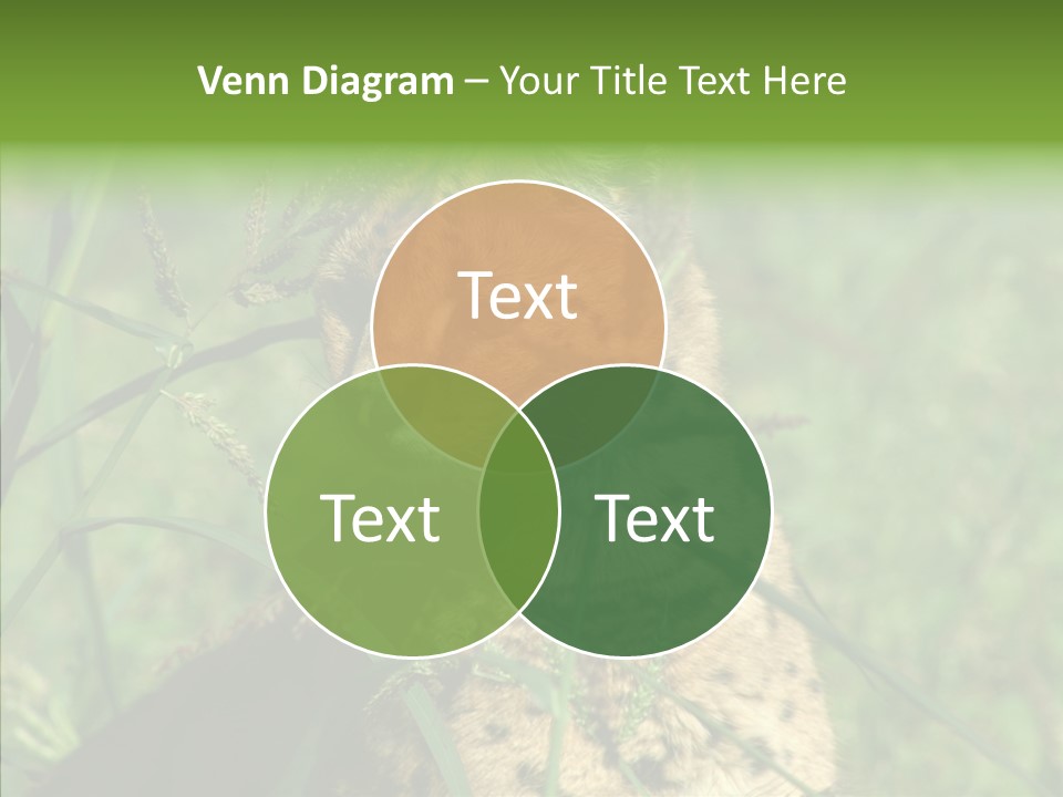 Felidae Green Leptailurus Serval PowerPoint Template