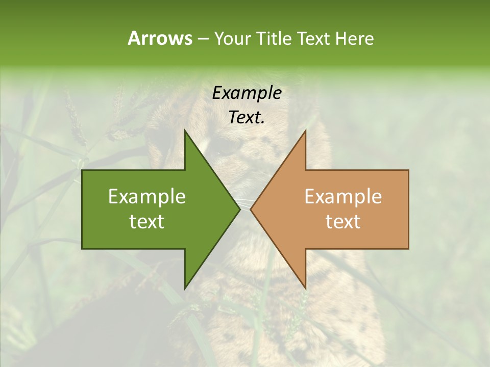 Felidae Green Leptailurus Serval PowerPoint Template