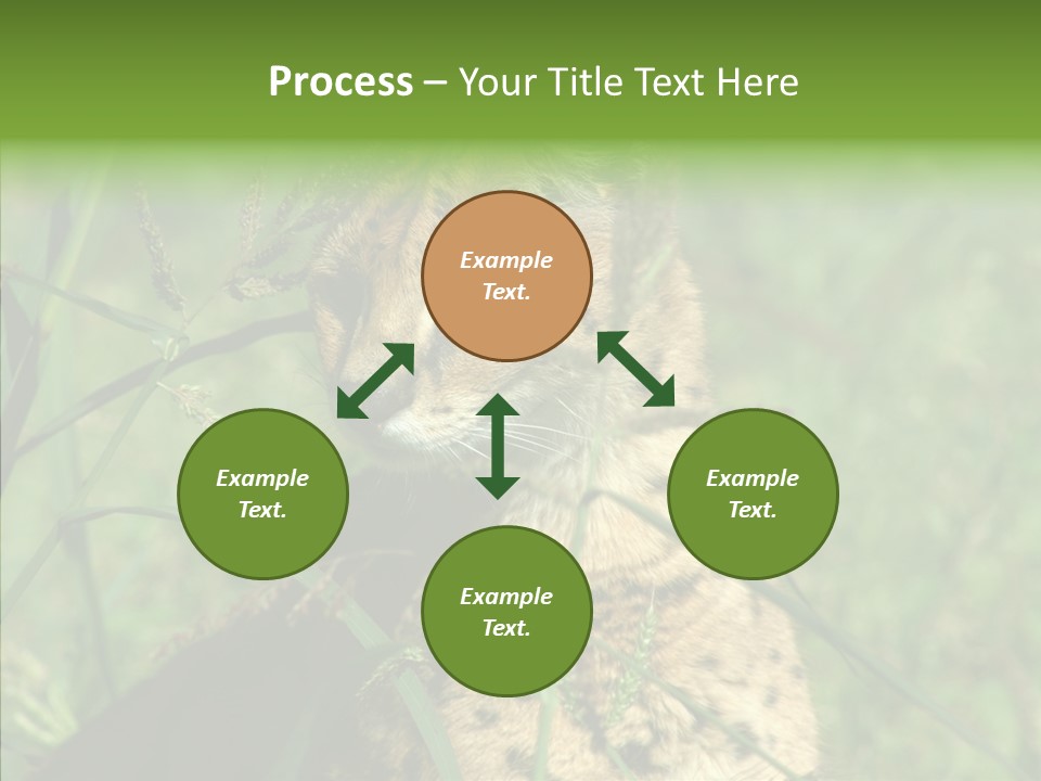 Felidae Green Leptailurus Serval PowerPoint Template