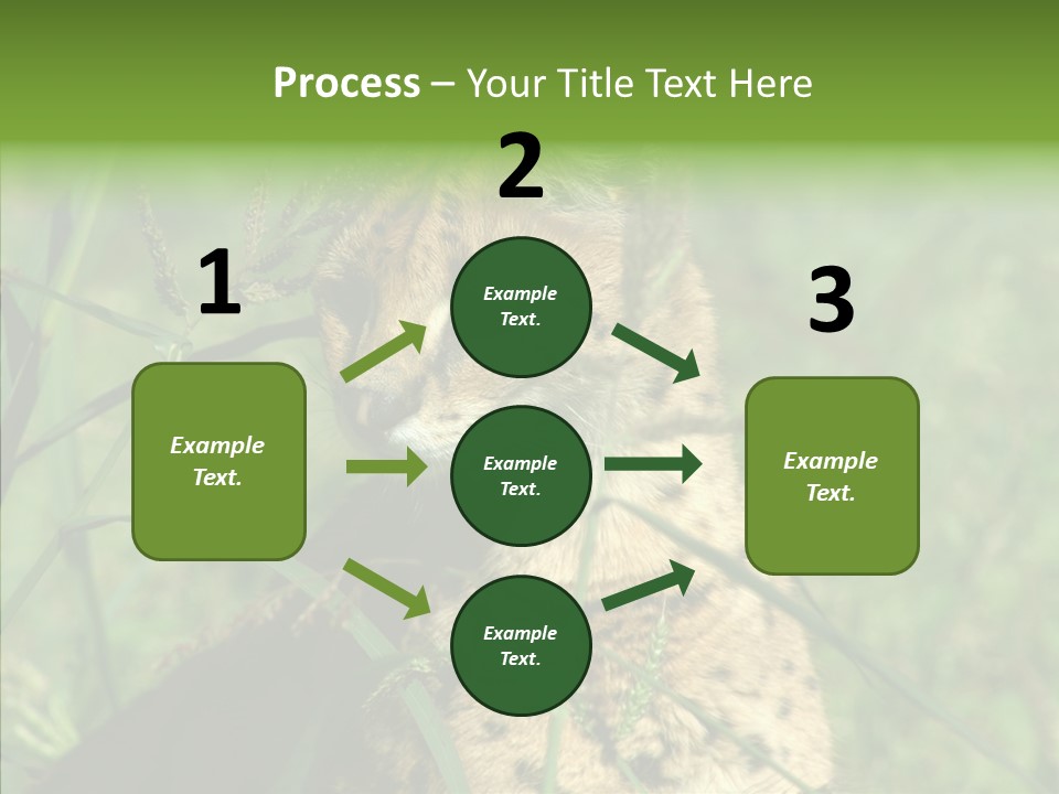 Felidae Green Leptailurus Serval PowerPoint Template