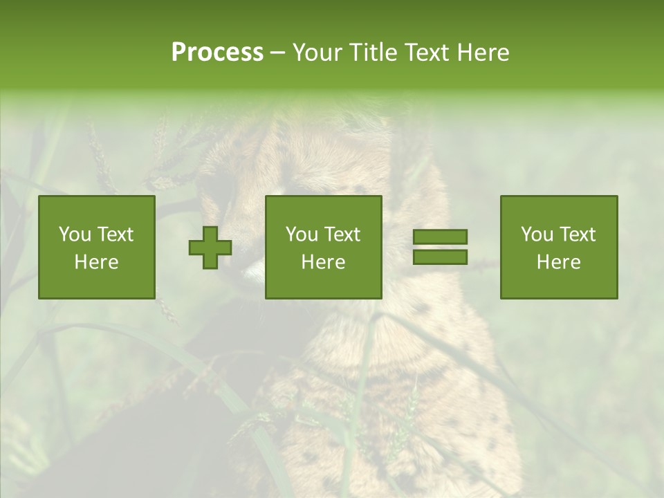 Felidae Green Leptailurus Serval PowerPoint Template