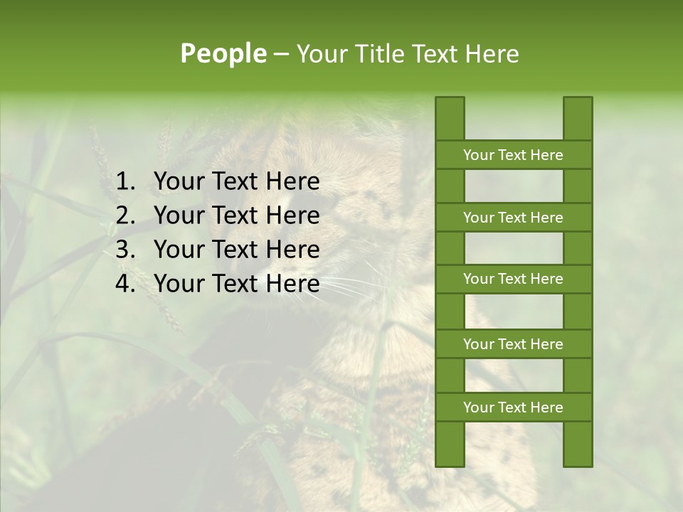 Felidae Green Leptailurus Serval PowerPoint Template