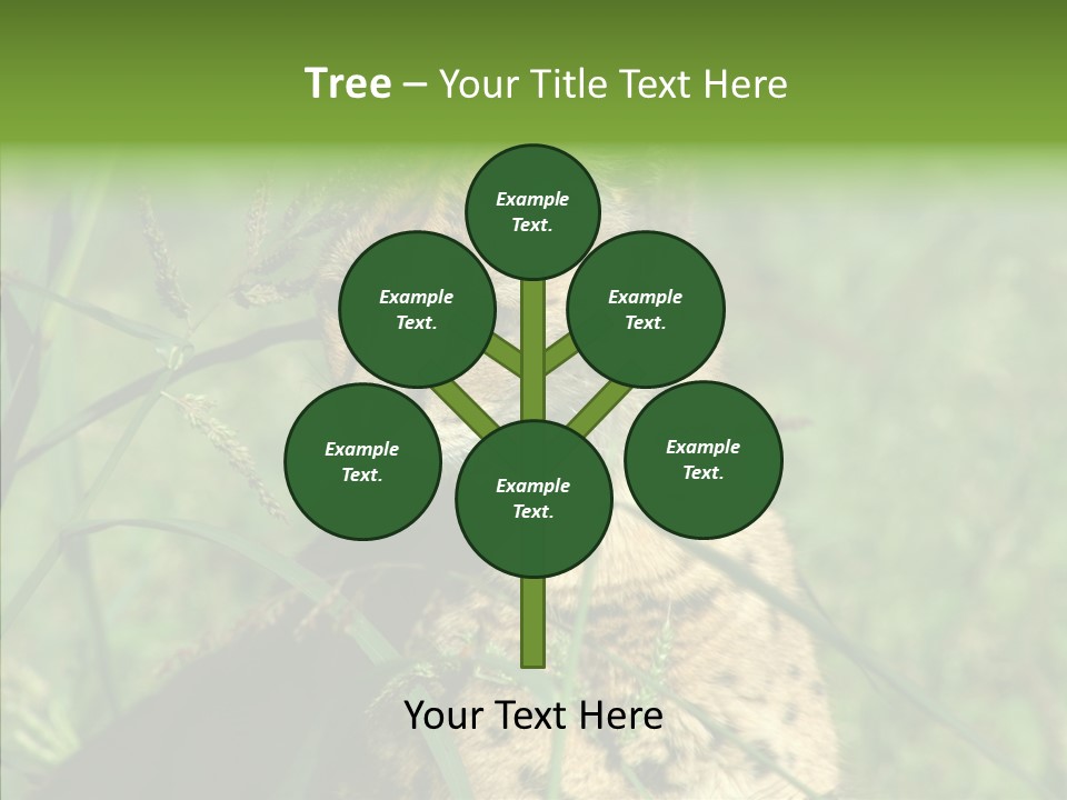 Felidae Green Leptailurus Serval PowerPoint Template