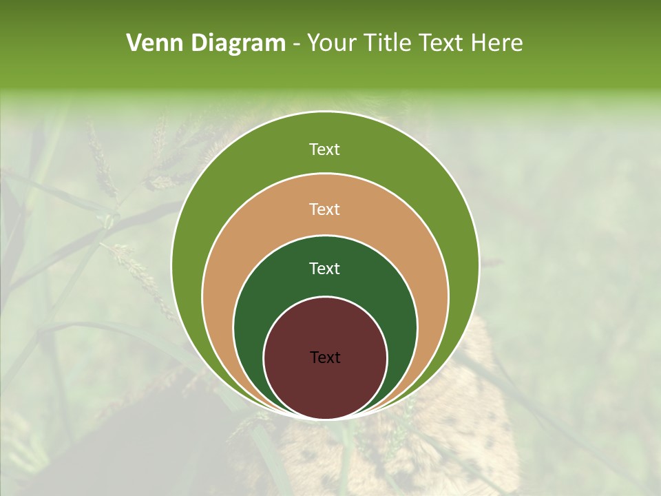 Felidae Green Leptailurus Serval PowerPoint Template