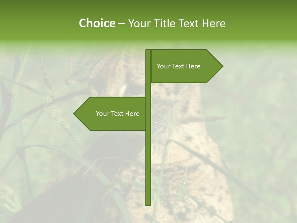 Felidae Green Leptailurus Serval PowerPoint Template