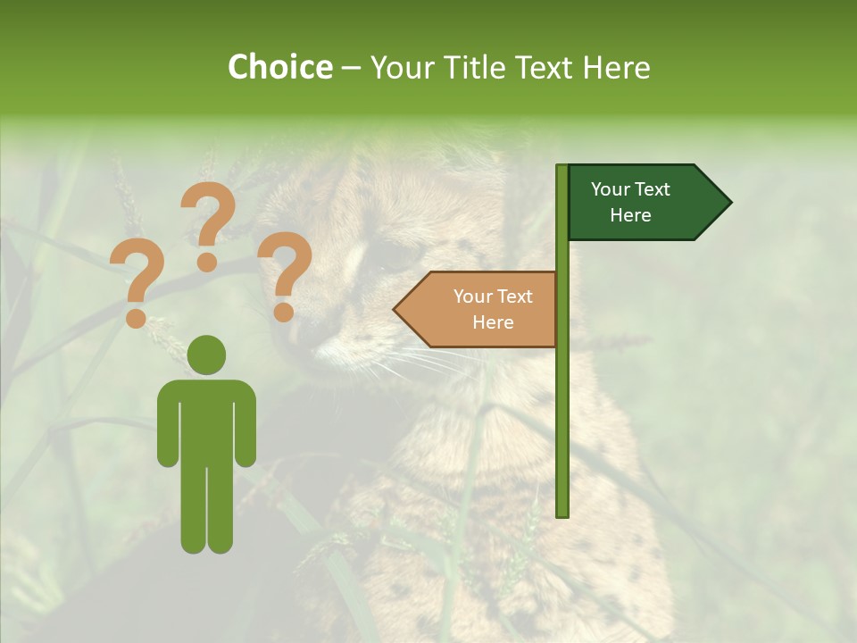 Felidae Green Leptailurus Serval PowerPoint Template