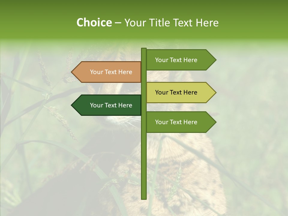 Felidae Green Leptailurus Serval PowerPoint Template