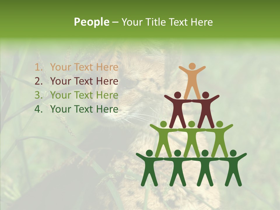 Felidae Green Leptailurus Serval PowerPoint Template