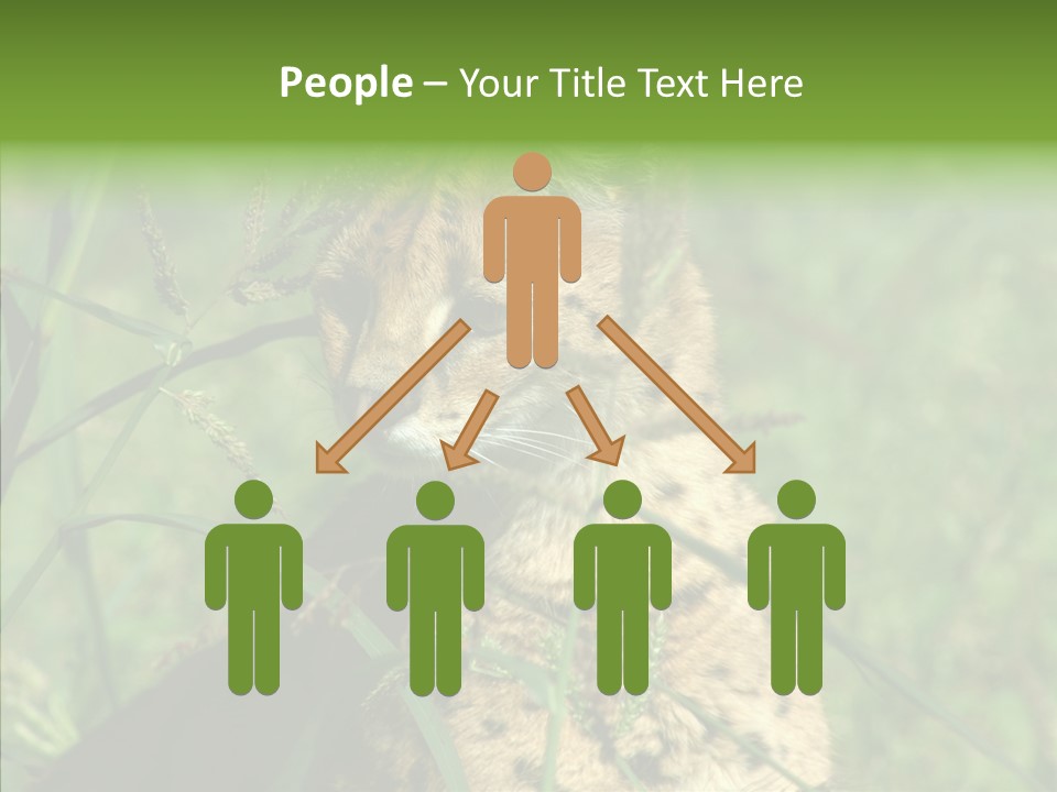 Felidae Green Leptailurus Serval PowerPoint Template