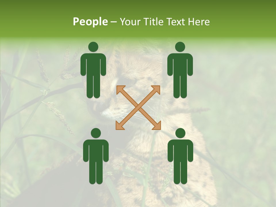 Felidae Green Leptailurus Serval PowerPoint Template