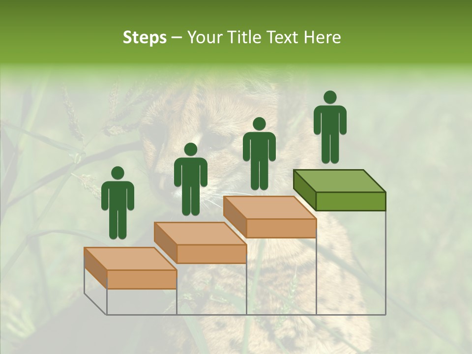 Felidae Green Leptailurus Serval PowerPoint Template